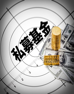Private Equity Investment